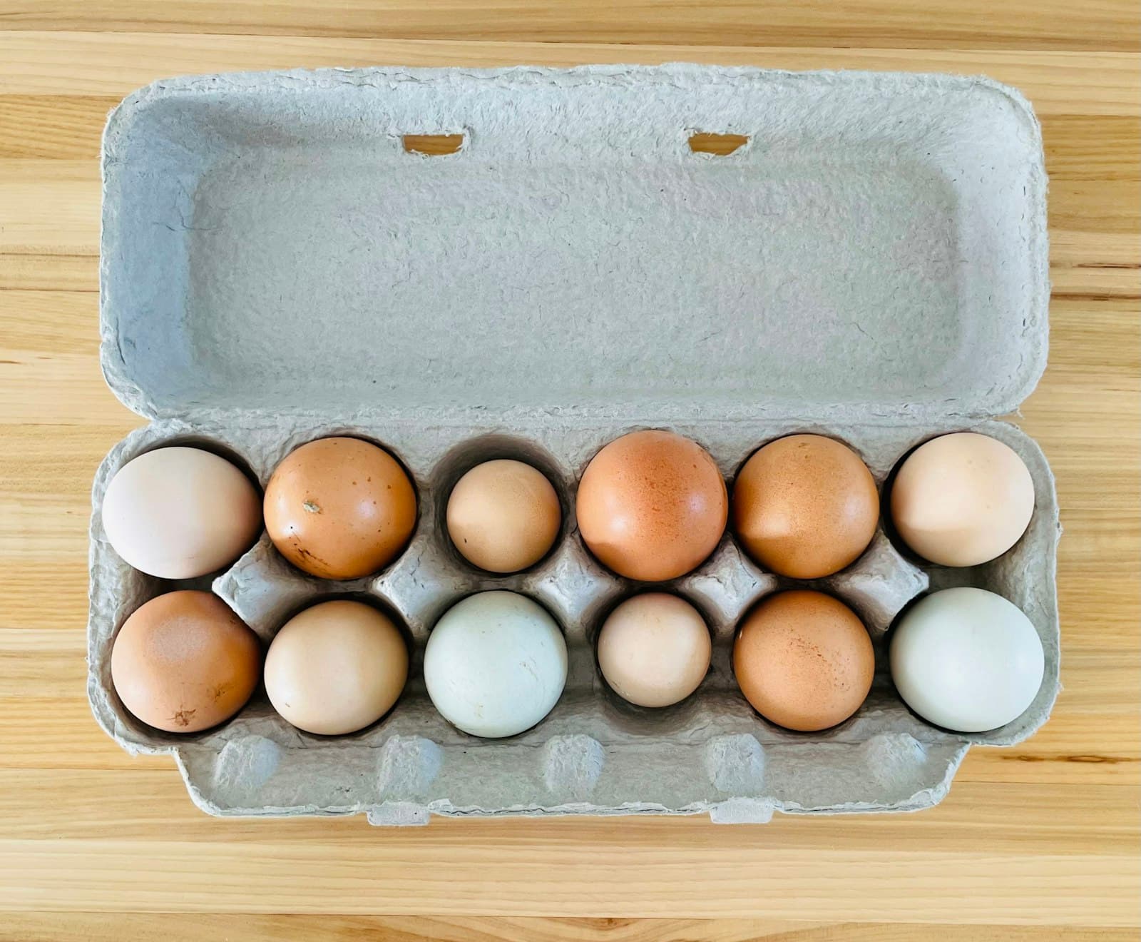 Telur segar bahan baku produksi Nusa Egg